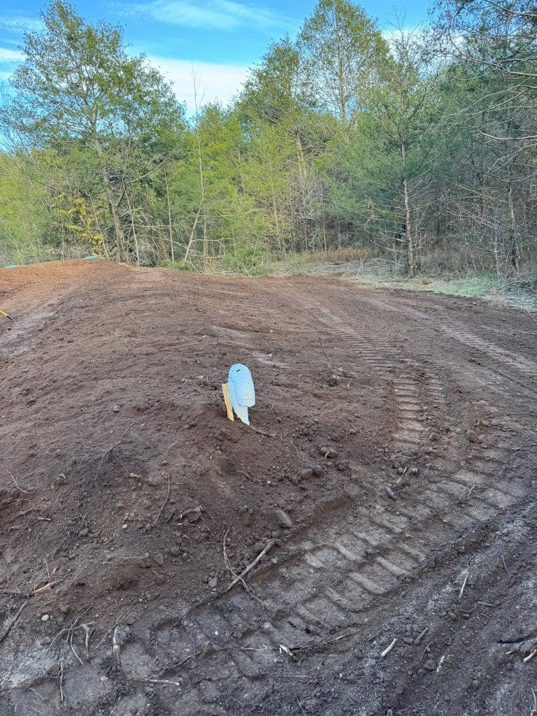 Freshly cleared and graded home site in the woods